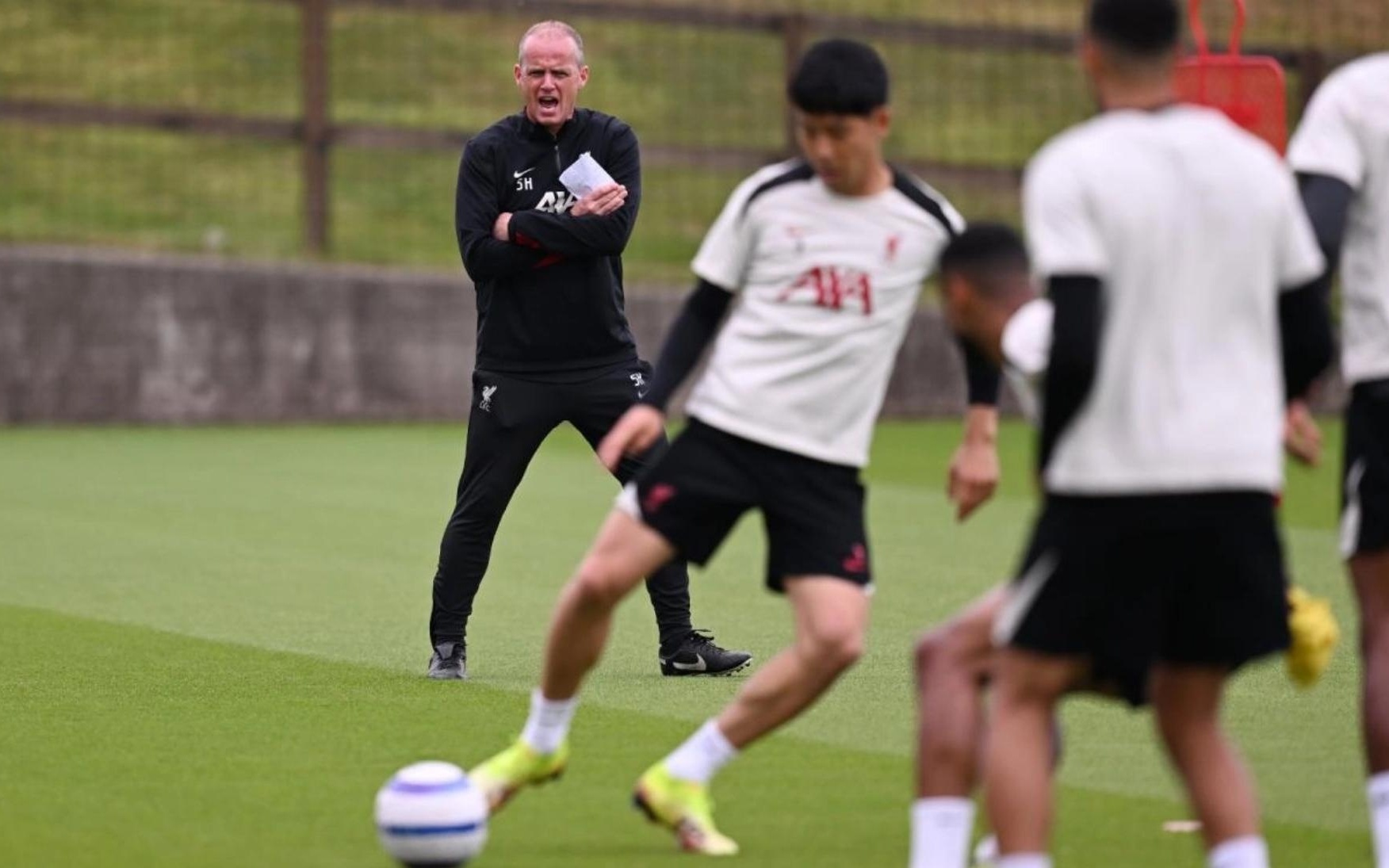 但隆多的梳 但隆多的梳