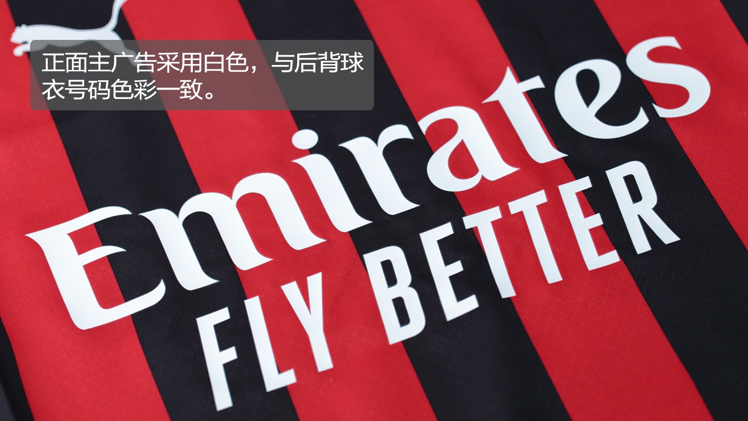 的平衡恢复 的平衡恢复